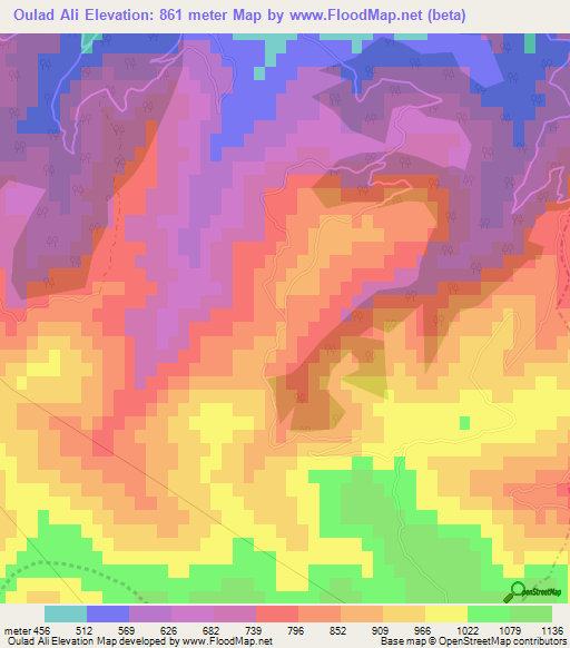 Oulad Ali,Algeria Elevation Map
