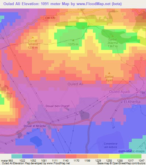 Oulad Ali,Algeria Elevation Map