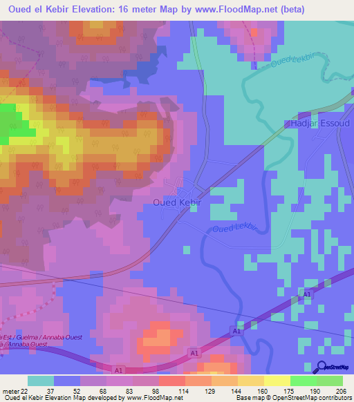 Oued el Kebir,Algeria Elevation Map