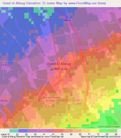 Oued el Alleug,Algeria Elevation Map