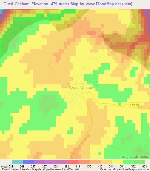 Oued Cheham,Algeria Elevation Map