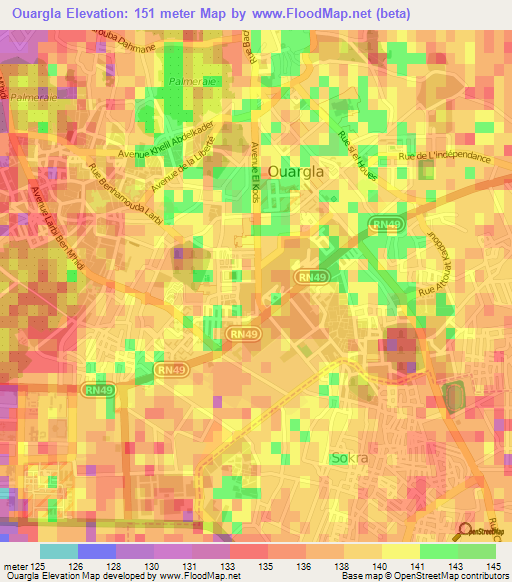 Ouargla,Algeria Elevation Map