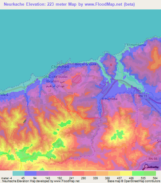 Neurkache,Algeria Elevation Map