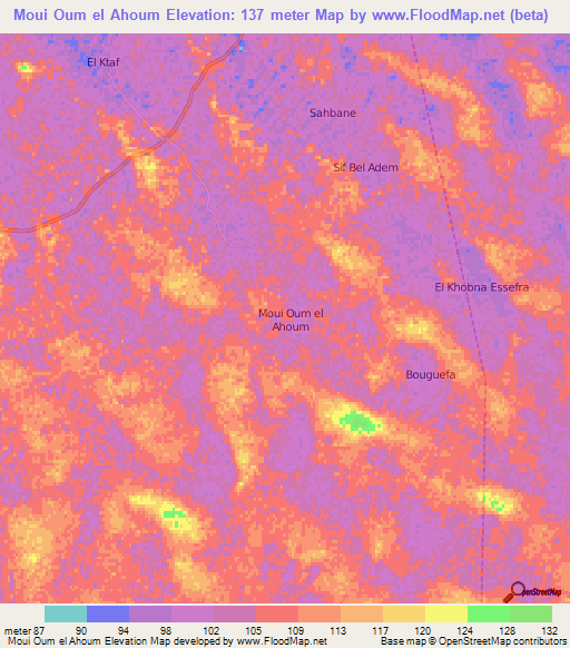 Moui Oum el Ahoum,Algeria Elevation Map