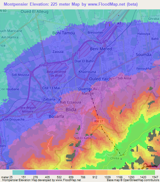 Montpensier,Algeria Elevation Map