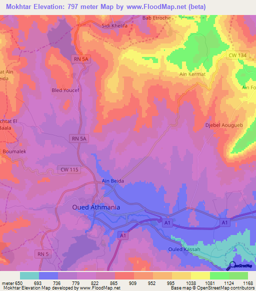 Mokhtar,Algeria Elevation Map