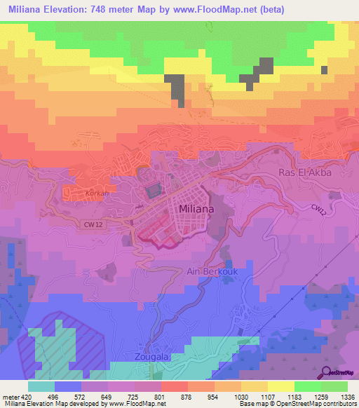 Miliana,Algeria Elevation Map