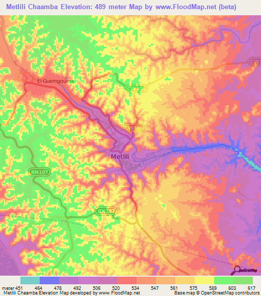 Metlili Chaamba,Algeria Elevation Map