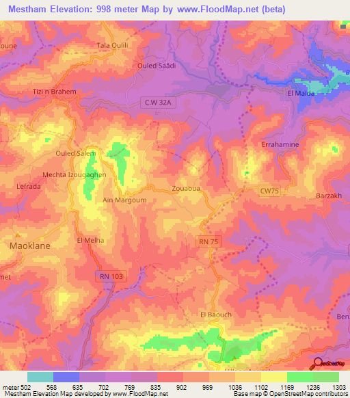 Mestham,Algeria Elevation Map