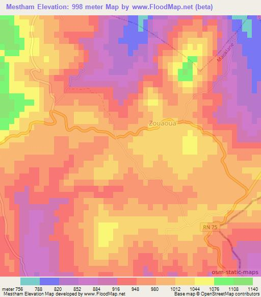 Mestham,Algeria Elevation Map