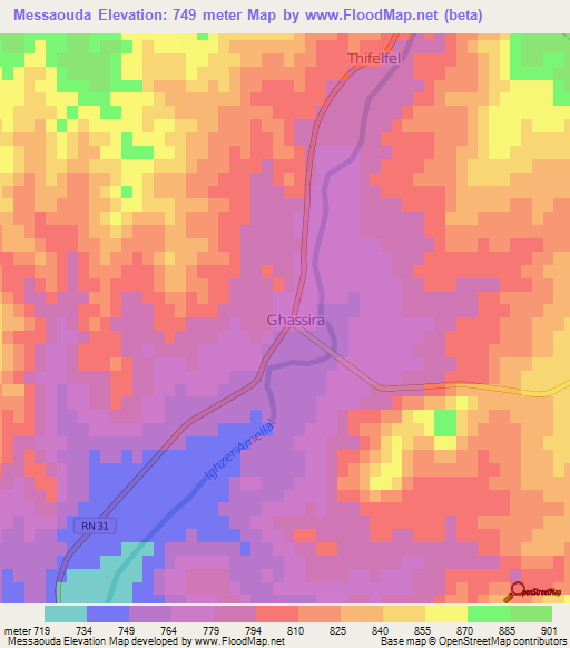 Messaouda,Algeria Elevation Map