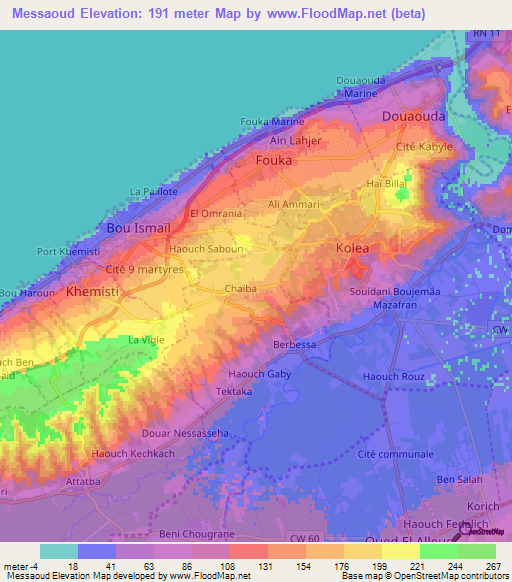 Messaoud,Algeria Elevation Map
