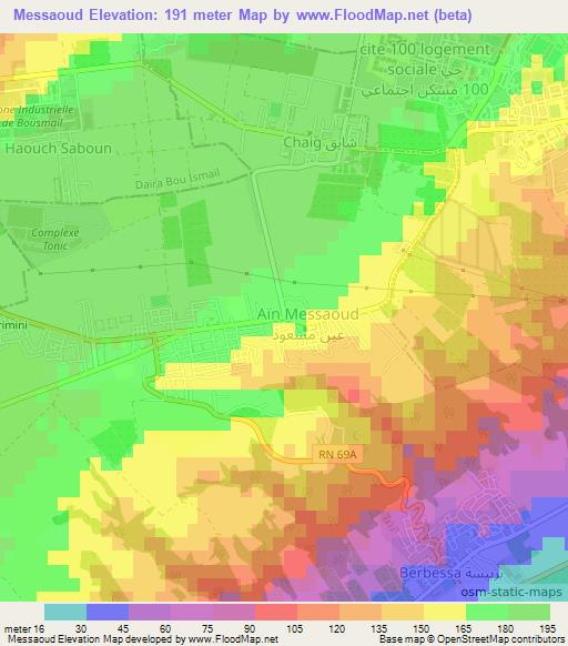Messaoud,Algeria Elevation Map