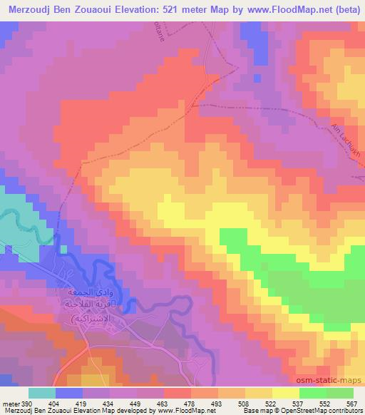 Merzoudj Ben Zouaoui,Algeria Elevation Map