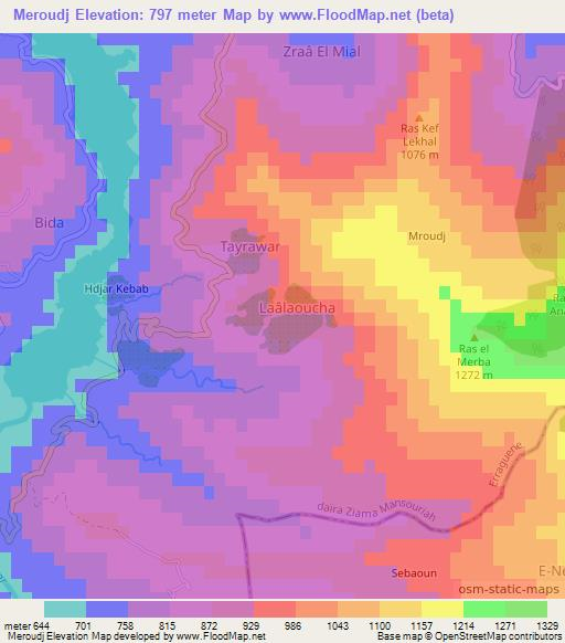 Meroudj,Algeria Elevation Map