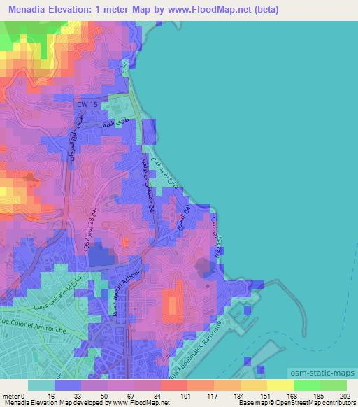 Menadia,Algeria Elevation Map