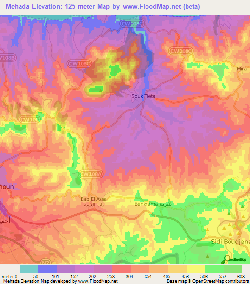 Mehada,Algeria Elevation Map