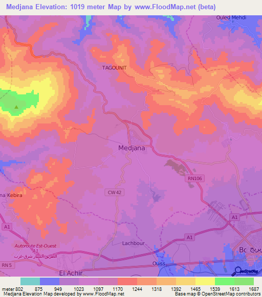 Medjana,Algeria Elevation Map