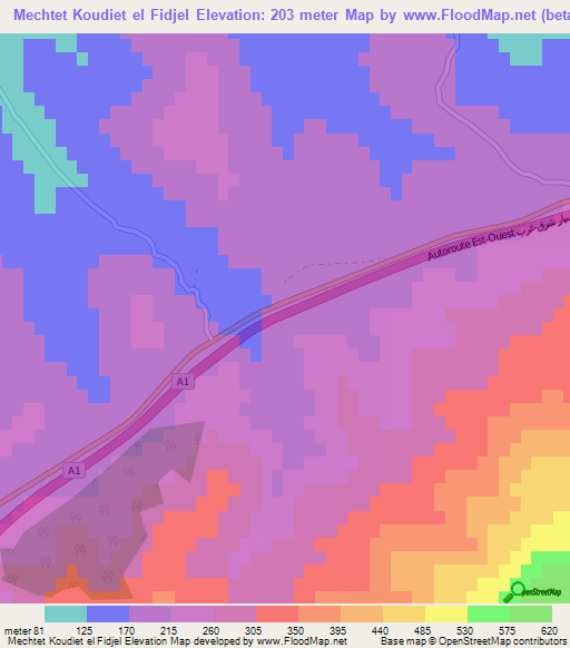 Mechtet Koudiet el Fidjel,Algeria Elevation Map