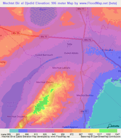 Mechtet Bir el Djedid,Algeria Elevation Map