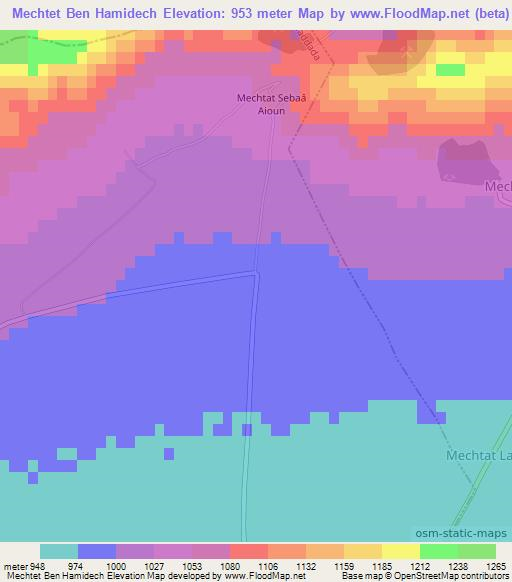 Mechtet Ben Hamidech,Algeria Elevation Map