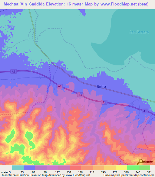 Mechtet 'Ain Gaddida,Algeria Elevation Map