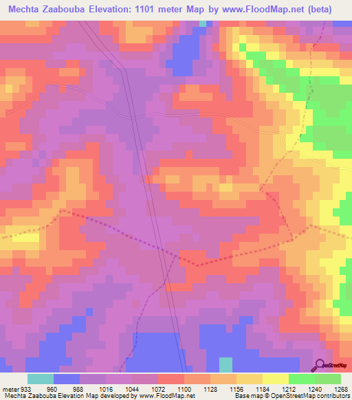 Mechta Zaabouba,Algeria Elevation Map