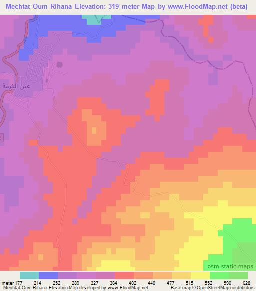 Mechtat Oum Rihana,Algeria Elevation Map
