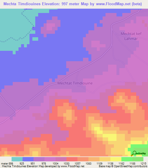 Mechta Timdiouines,Algeria Elevation Map
