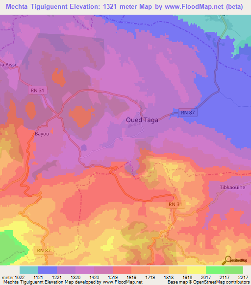 Mechta Tiguiguennt,Algeria Elevation Map