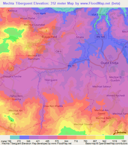 Mechta Tiberguent,Algeria Elevation Map