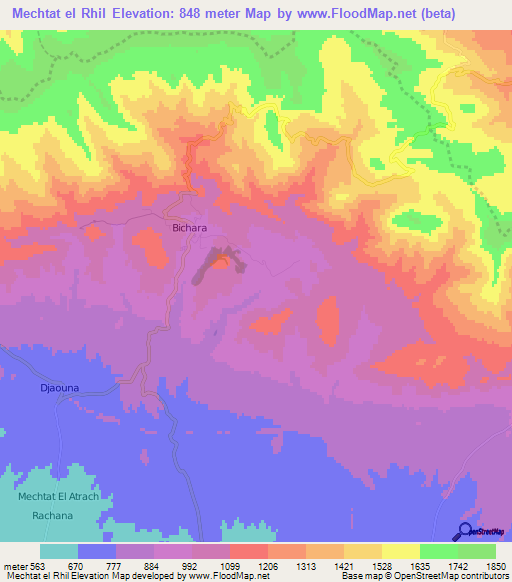 Mechtat el Rhil,Algeria Elevation Map