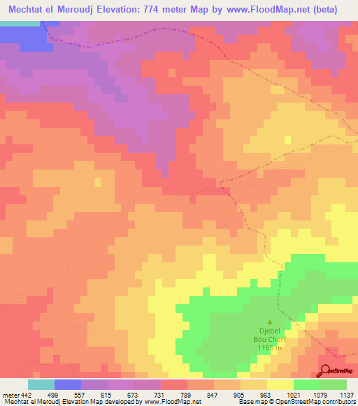 Mechtat el Meroudj,Algeria Elevation Map