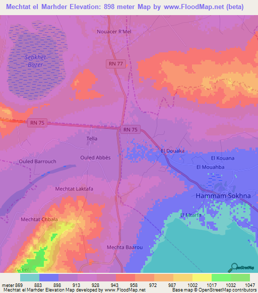 Mechtat el Marhder,Algeria Elevation Map
