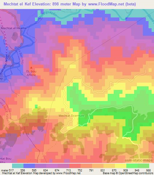 Mechtat el Kef,Algeria Elevation Map
