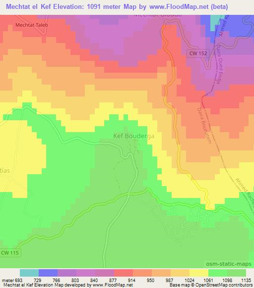 Mechtat el Kef,Algeria Elevation Map