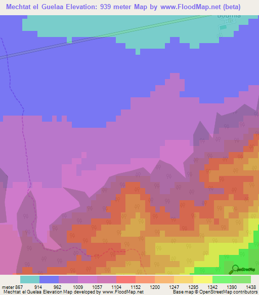 Mechtat el Guelaa,Algeria Elevation Map