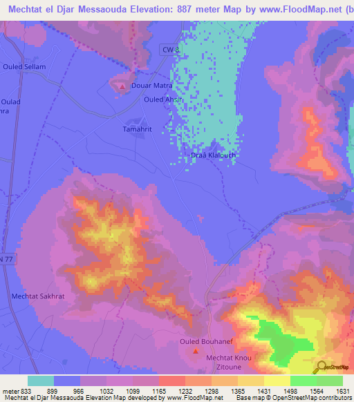 Mechtat el Djar Messaouda,Algeria Elevation Map