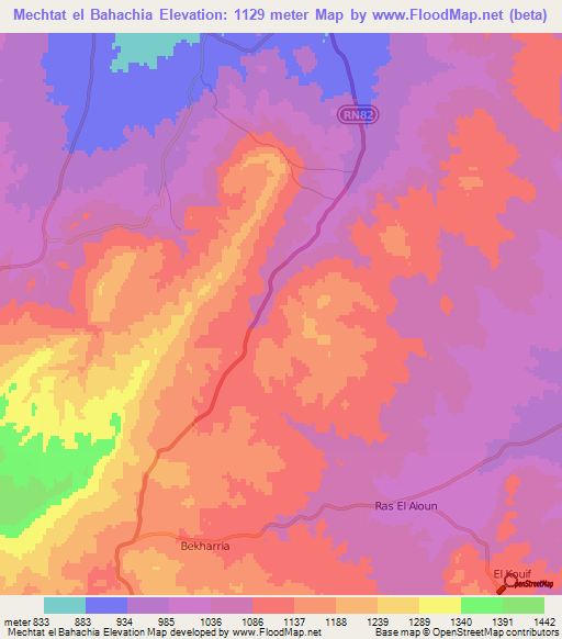 Mechtat el Bahachia,Algeria Elevation Map