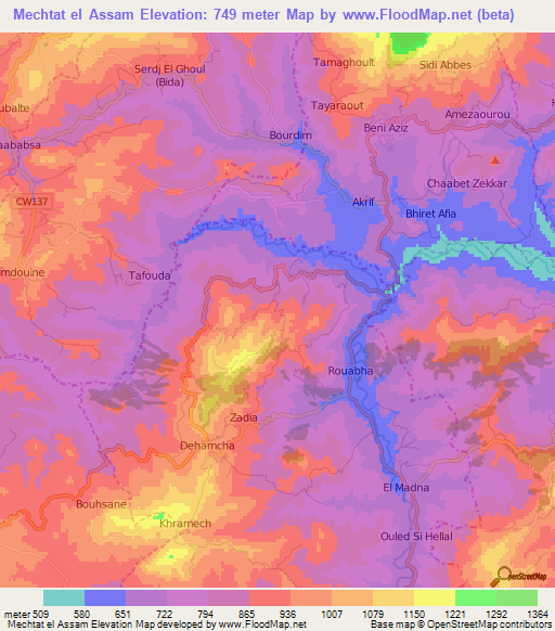 Mechtat el Assam,Algeria Elevation Map