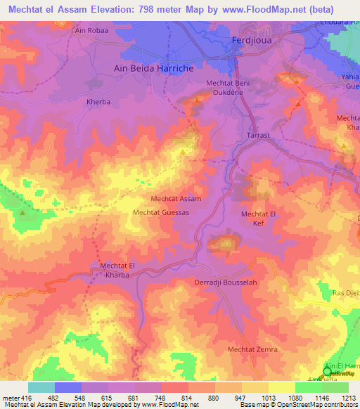 Mechtat el Assam,Algeria Elevation Map
