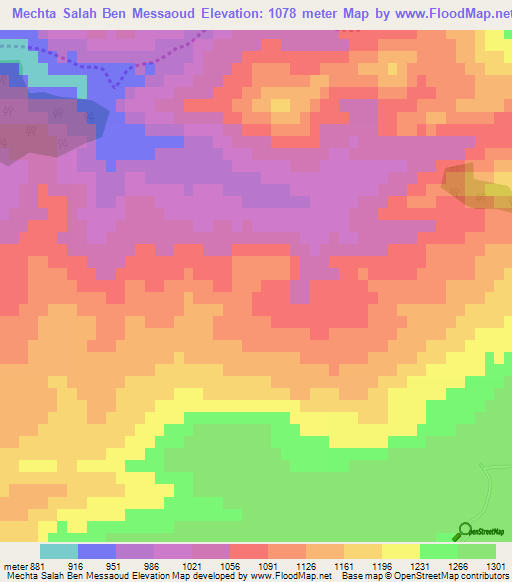 Mechta Salah Ben Messaoud,Algeria Elevation Map
