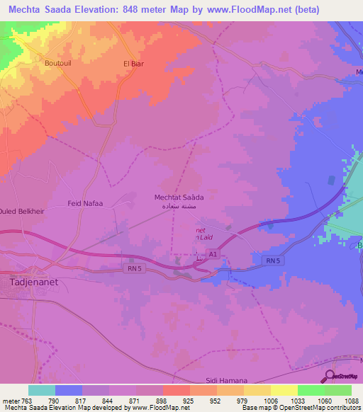 Mechta Saada,Algeria Elevation Map