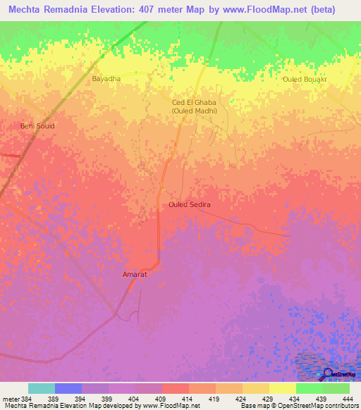 Mechta Remadnia,Algeria Elevation Map