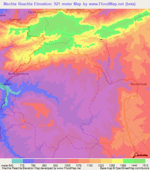 Mechta Reachla,Algeria Elevation Map