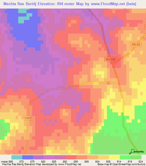 Mechta Ras Beridj,Algeria Elevation Map