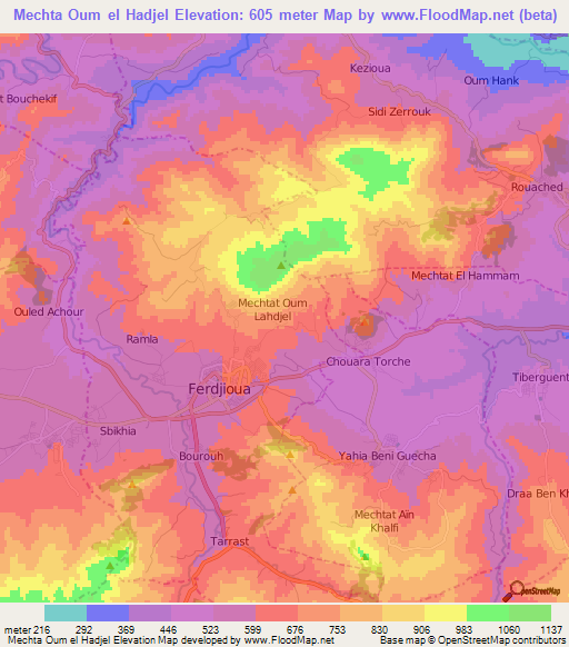 Mechta Oum el Hadjel,Algeria Elevation Map
