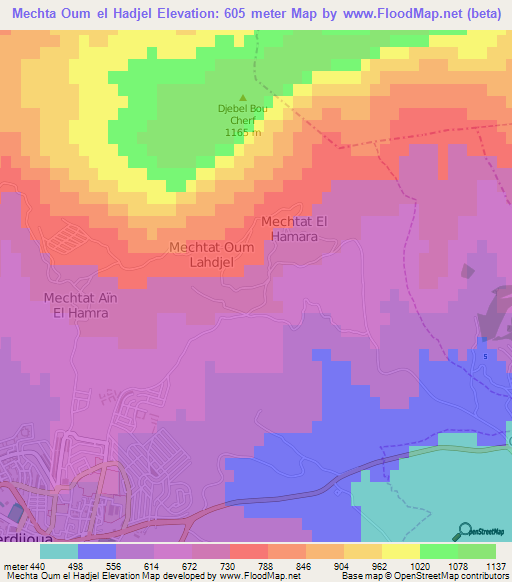 Mechta Oum el Hadjel,Algeria Elevation Map
