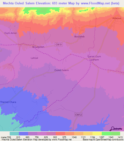 Mechta Ouled Salem,Algeria Elevation Map