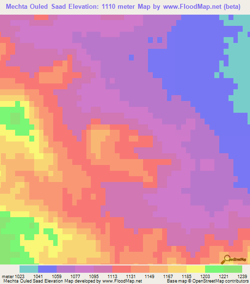 Mechta Ouled Saad,Algeria Elevation Map